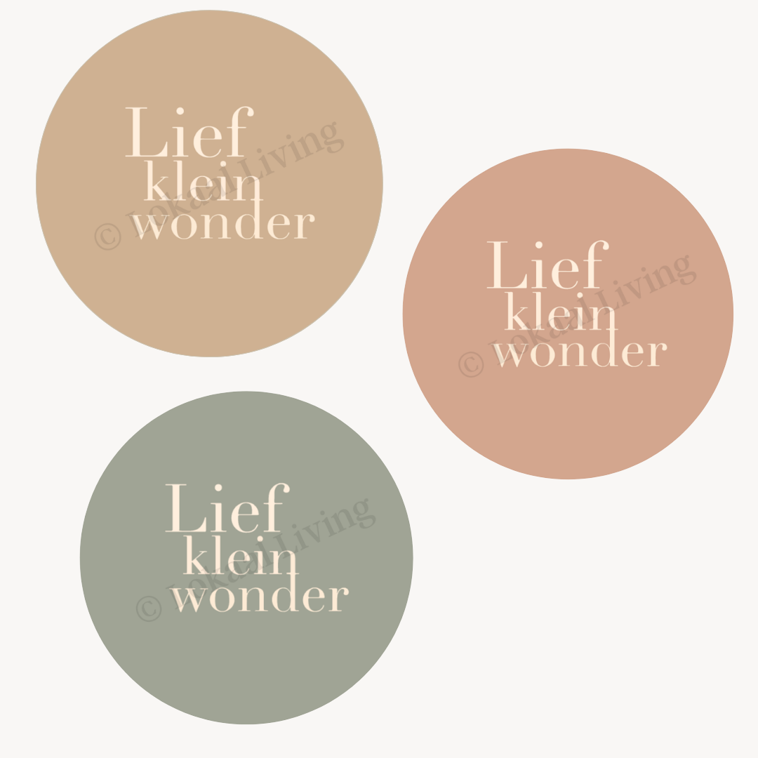 Muurcirkel Lief Klein Wonder - set van 2