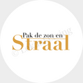 Muurcirkel Zon en straal - set van 2